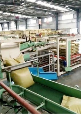 Aanpasbare en automatische voederpalletiser voor zakinstallaties 4100mm*1600mm*1450mm